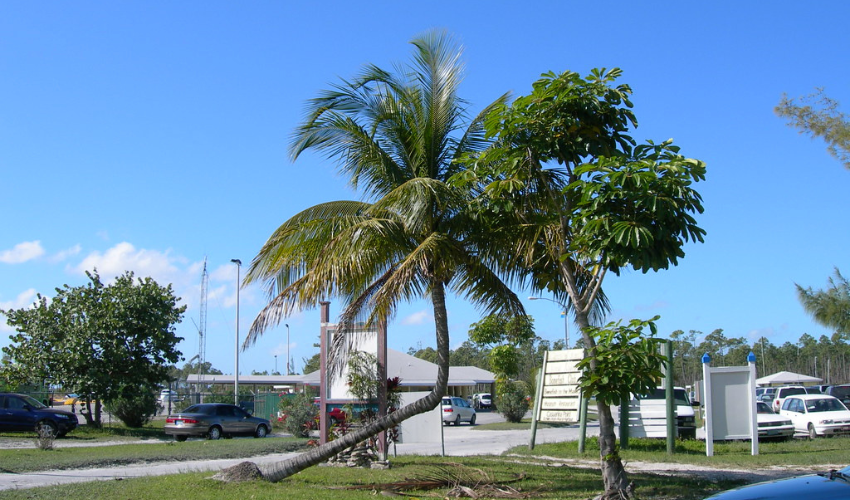 Marsh Harbour