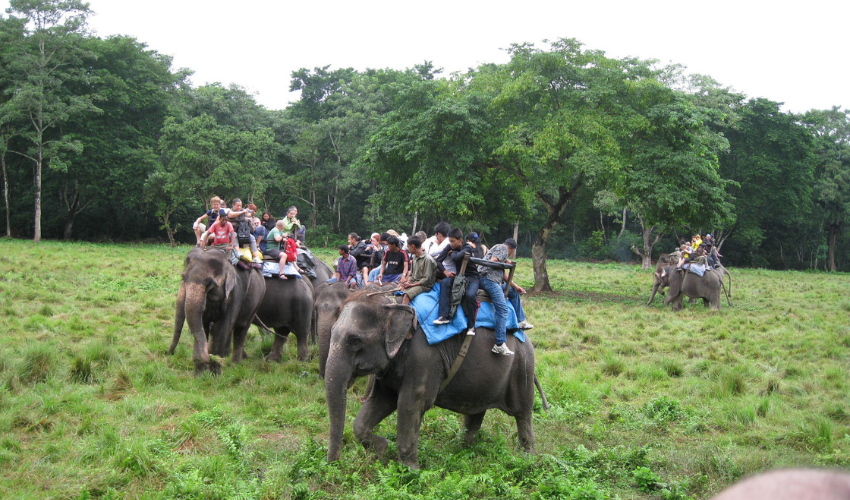 Chitwan