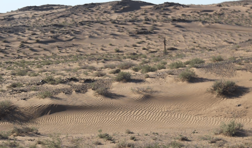 Gobi Desert