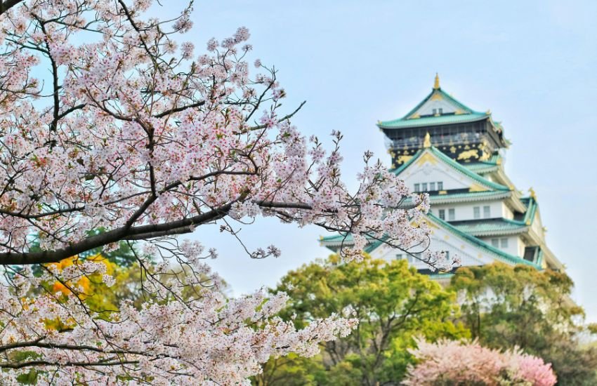 Japan 4